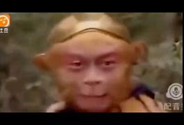 电报猴动态表情包的简单介绍