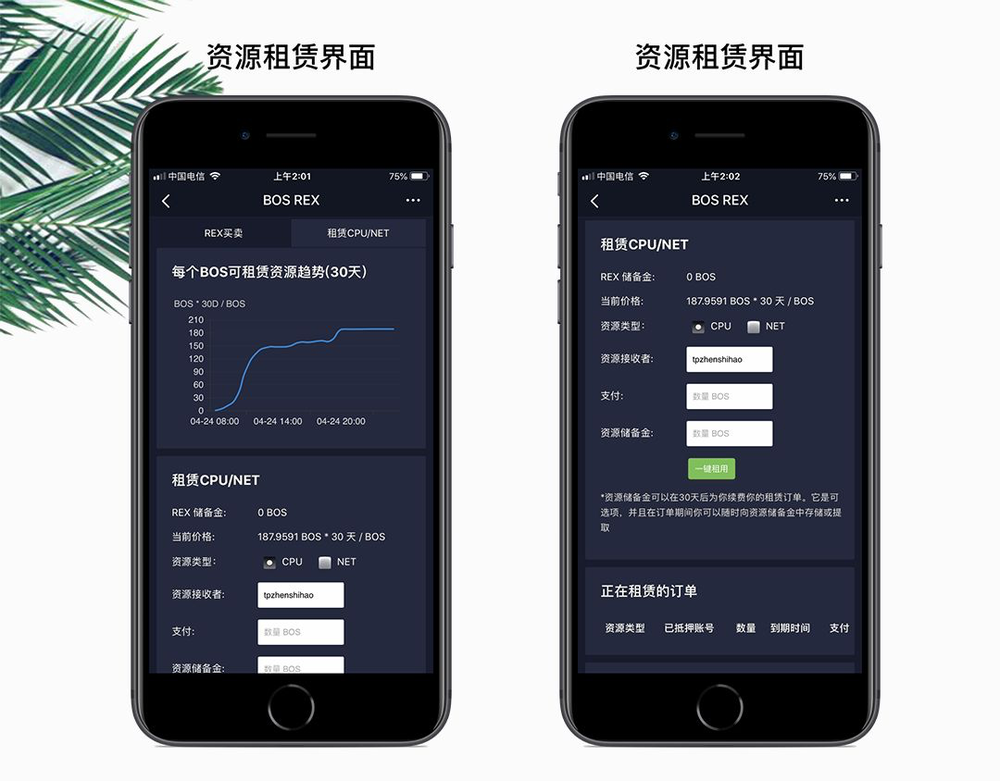 tp钱包的币怎么看k线
