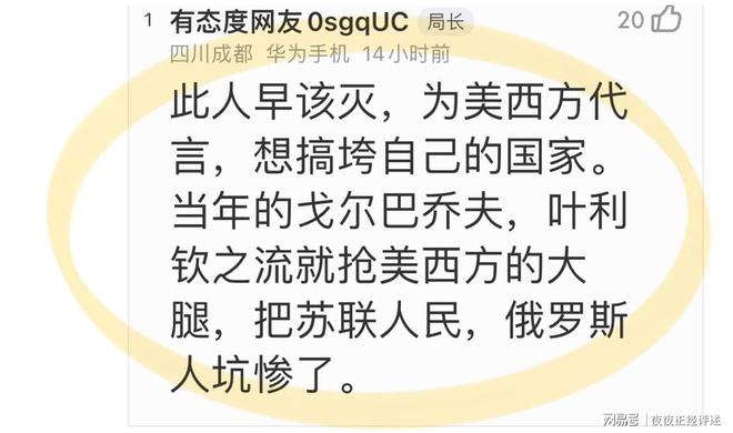 视频骂人怎么剪成电报声音,视频骂人怎么剪成电报声音呢