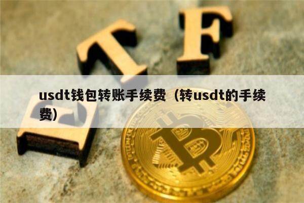 USDT小金库钱包,usdt小金库钱包介绍