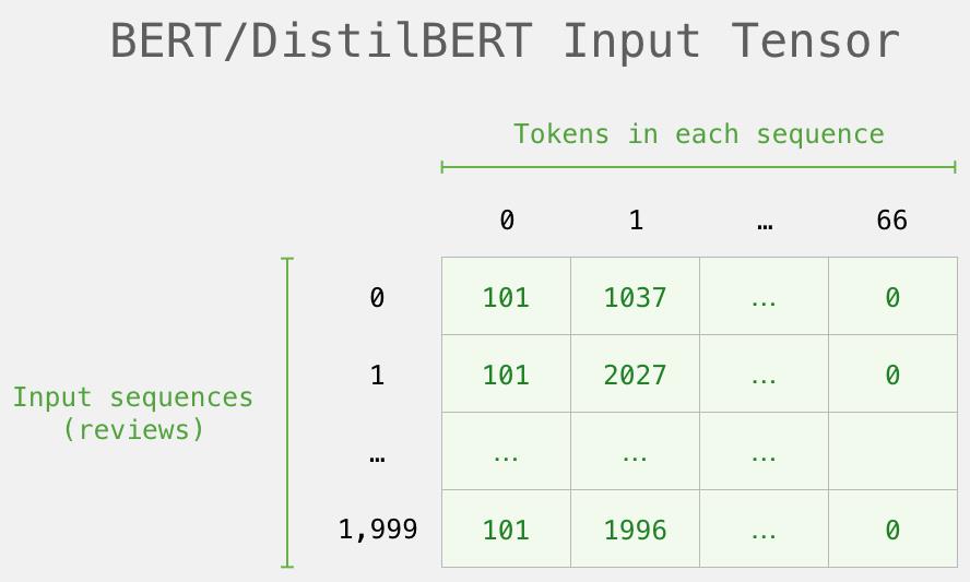 tokenizer.encode参数含义,token o in json at position