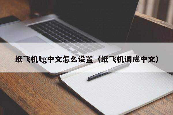纸飞机英文怎么变成中文,纸飞机英文版怎么变中文版