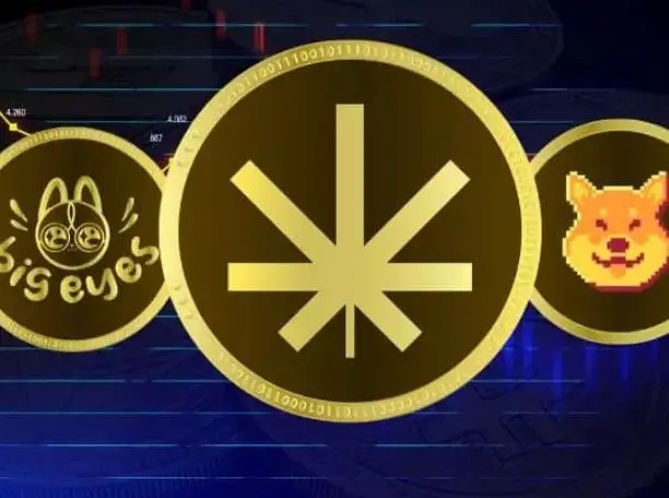 中本聪币官网下载,中本聪币app下载