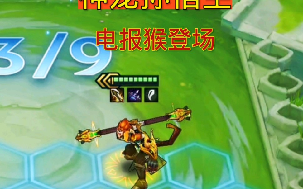 关于你知道什么是电报猴吗的信息