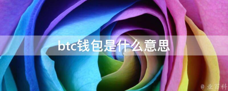 存BTC的钱包都有哪些,存btc的钱包都有哪些软件