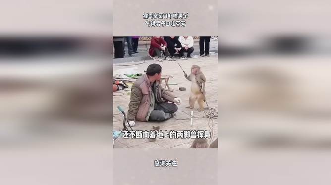 孙悟空电报员口吐芬芳原视频的简单介绍