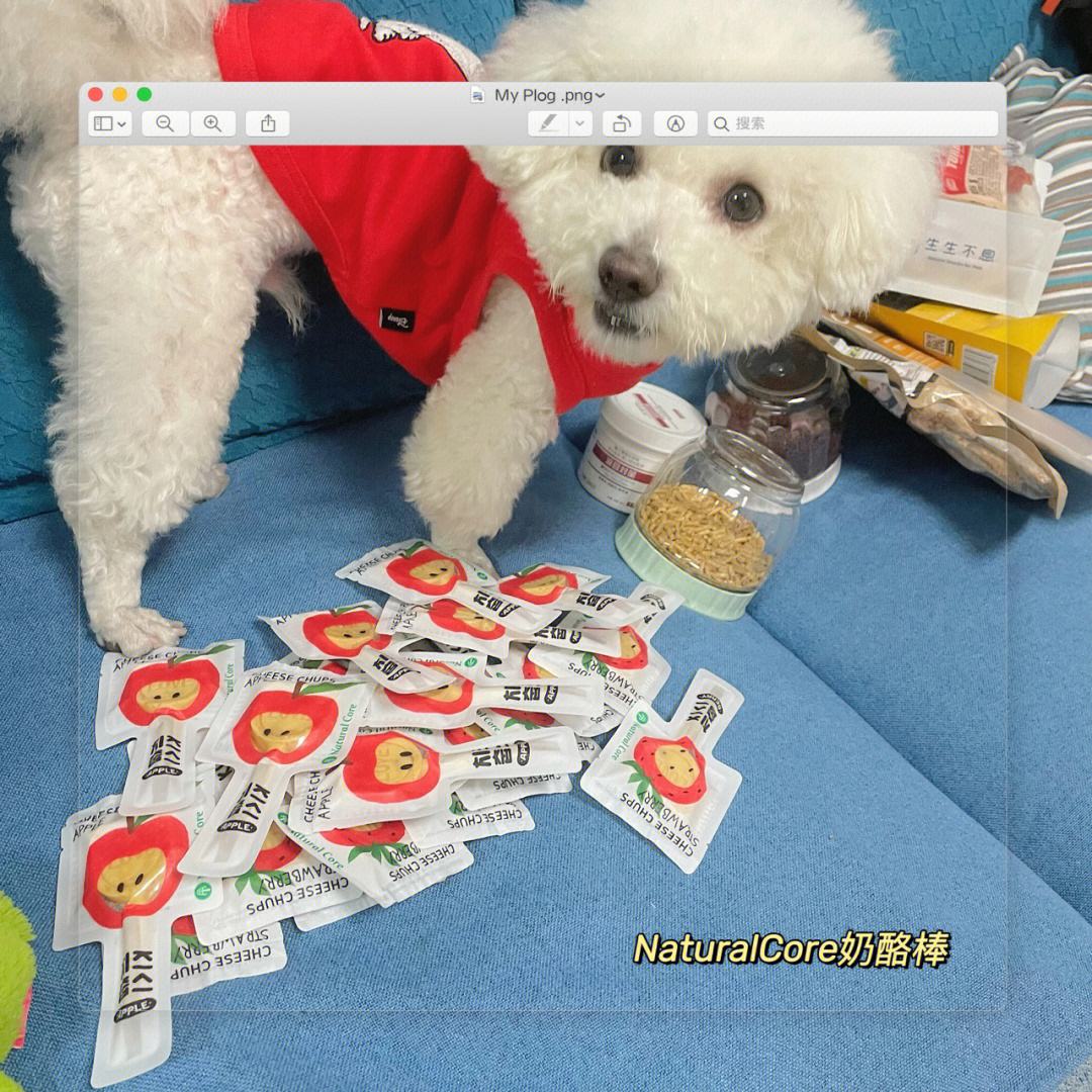 小狐狸钱包怎么搜索core,小狐狸钱包怎么搜索不到柴犬币