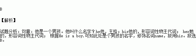 what中文叫什么名字,what中文叫什么名字来着