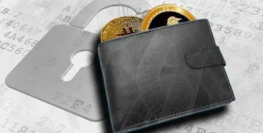 tp钱包pig币,tp钱包pig币找不到了