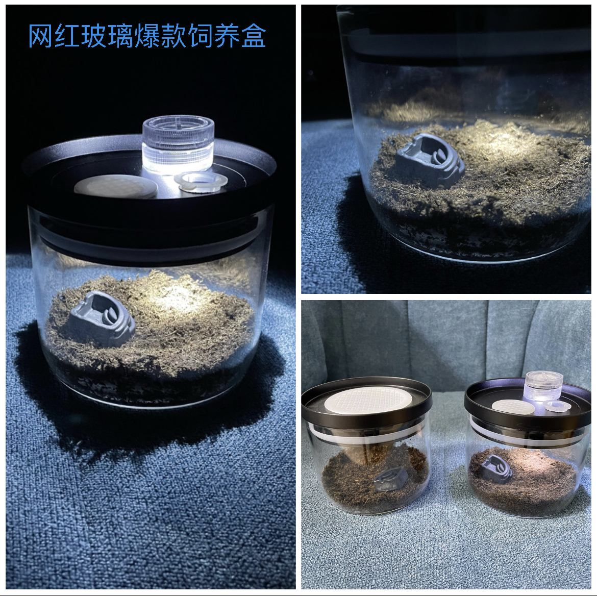 电报蛉叫声音频,无线发电报声音大全mp3