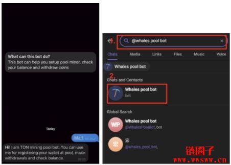 trustwallet钱包提币提不出的简单介绍