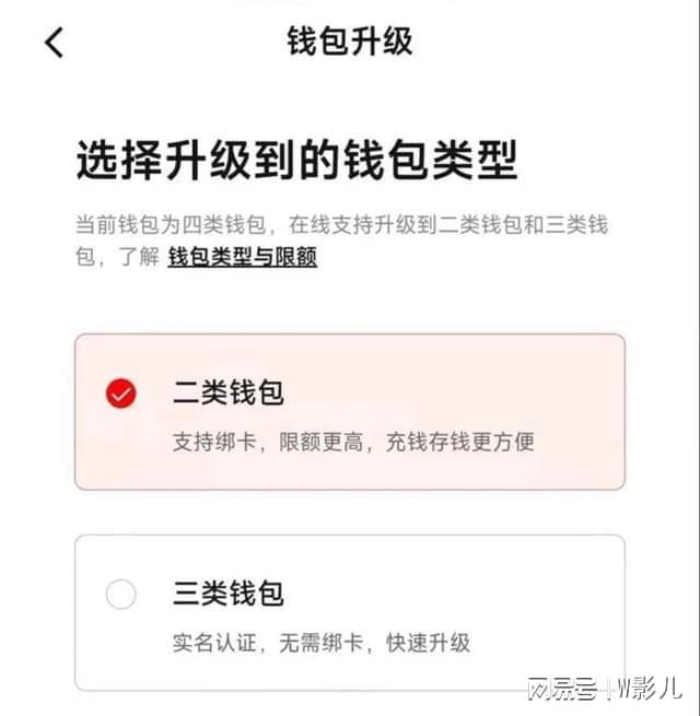 大众网pt数字钱包在哪,大众网pt数字钱包在哪里