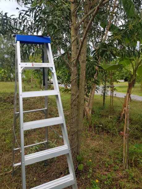 苹果用梯子算越狱吗,iphone梯子是什么意思