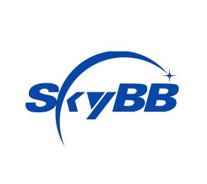 sky电话下载官网,sky网络电话免费版来电显示什么号码