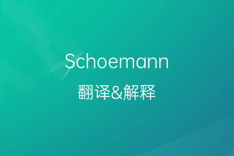 音译中文翻译,音译中文翻译软件