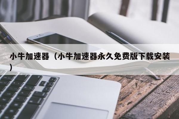 免费梯子加速器2022,免费梯子加速器2022最新版