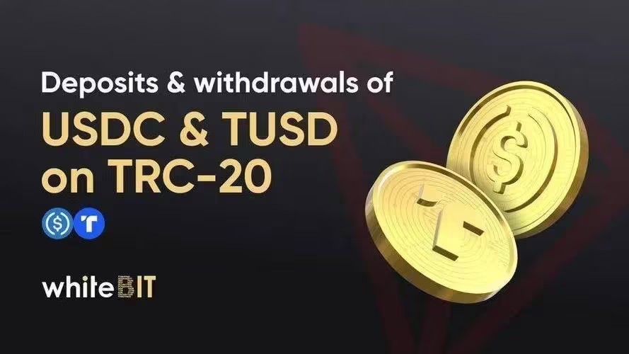 包含tp钱包创建usdttrc20钱包的词条