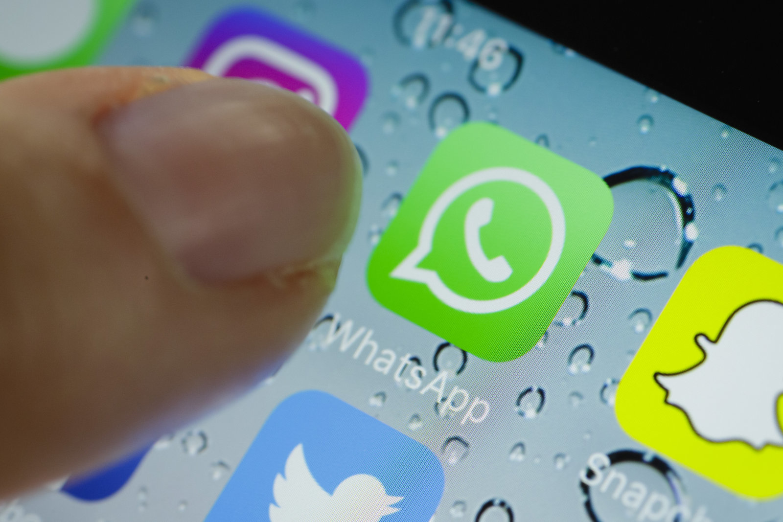 关于whatsapp英文怎么发音的信息