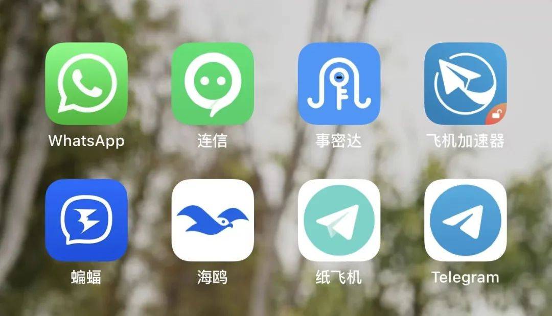 Whatsapp官网链接-whatsapp for web