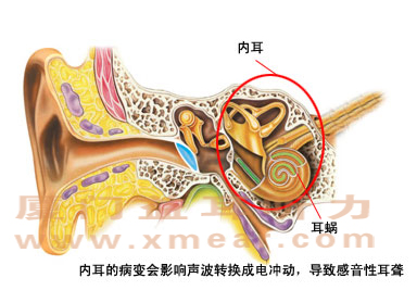 耳朵能听见类似打电报的声音-耳朵能听见类似打电报的声音怎么回事