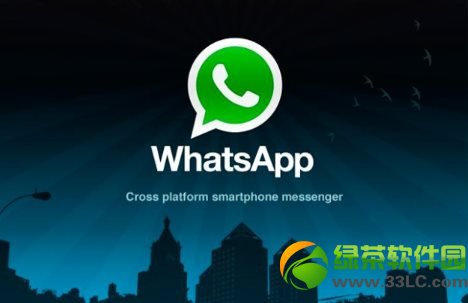 whatsapp电脑端怎么加好友-whatsapp电脑版怎么视频聊天