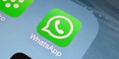 whatsapp下载安装安卓手机版-whatsapp安卓手机版下载v22020624免费下载