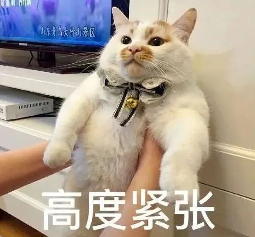 tokenpocket钱包官网客服的简单介绍