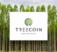 tokeneco下载-国际抖音tiktok官网入口