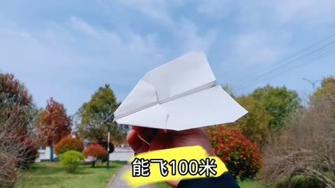 纸飞机的语录-纸飞机语录经典语录