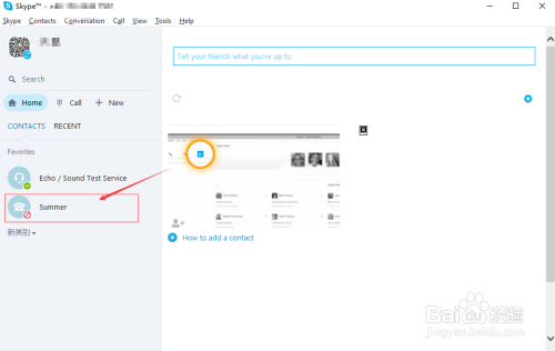 skype什么意思英语-skypephone什么意思