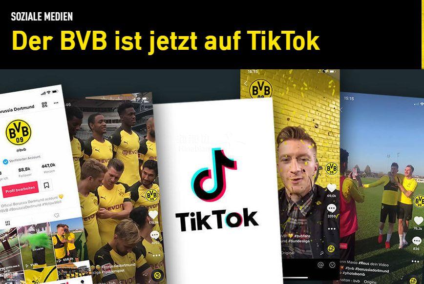 tiktok国际版网页入口-国际抖音tiktok官网入口