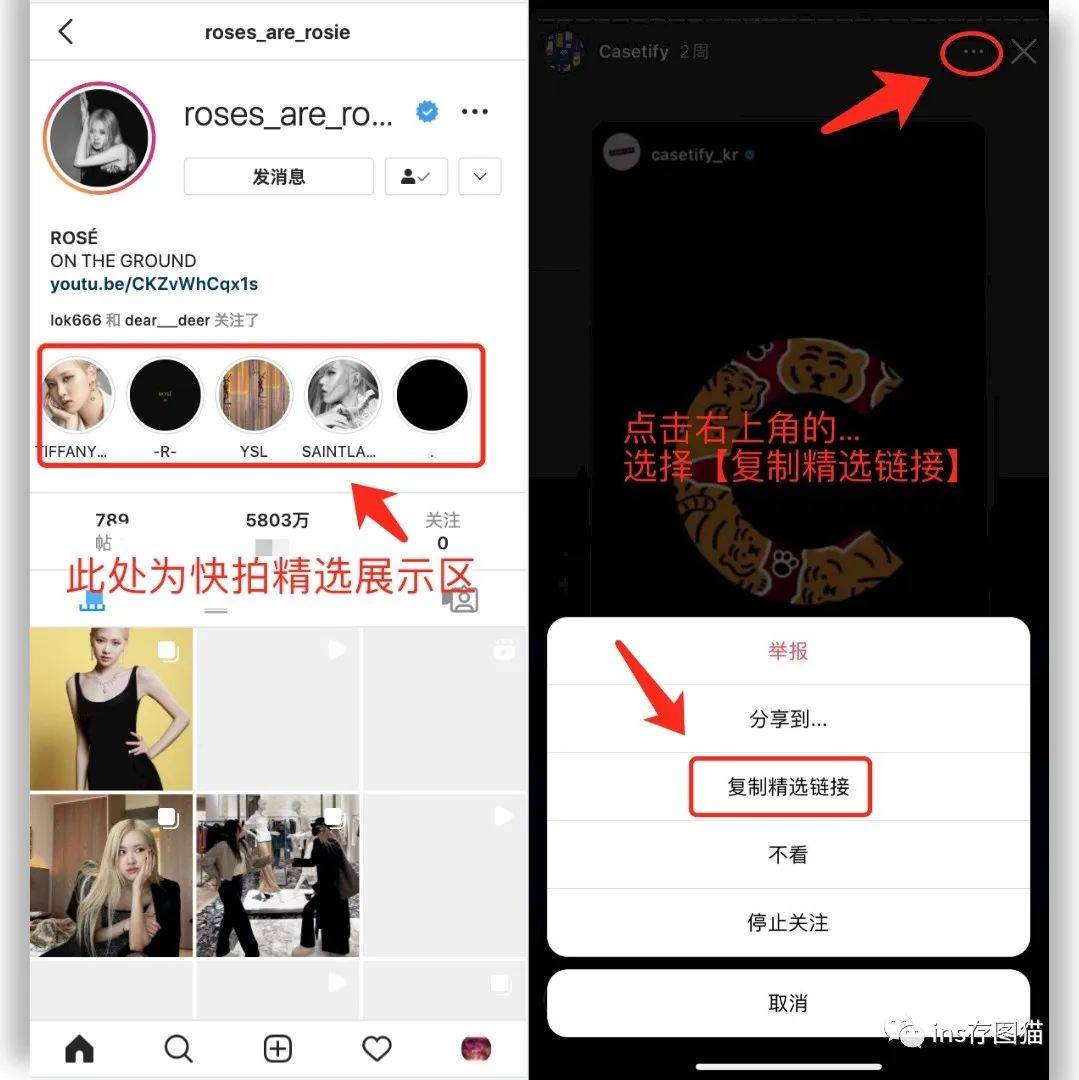 instagram官网入口-instagram官网入口下载