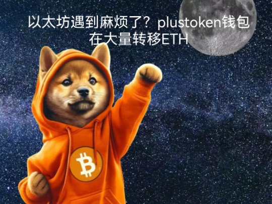 token钱包-Token钱包下载