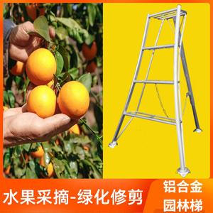 果树专用梯子图片大全-果树专用梯子图片大全视频