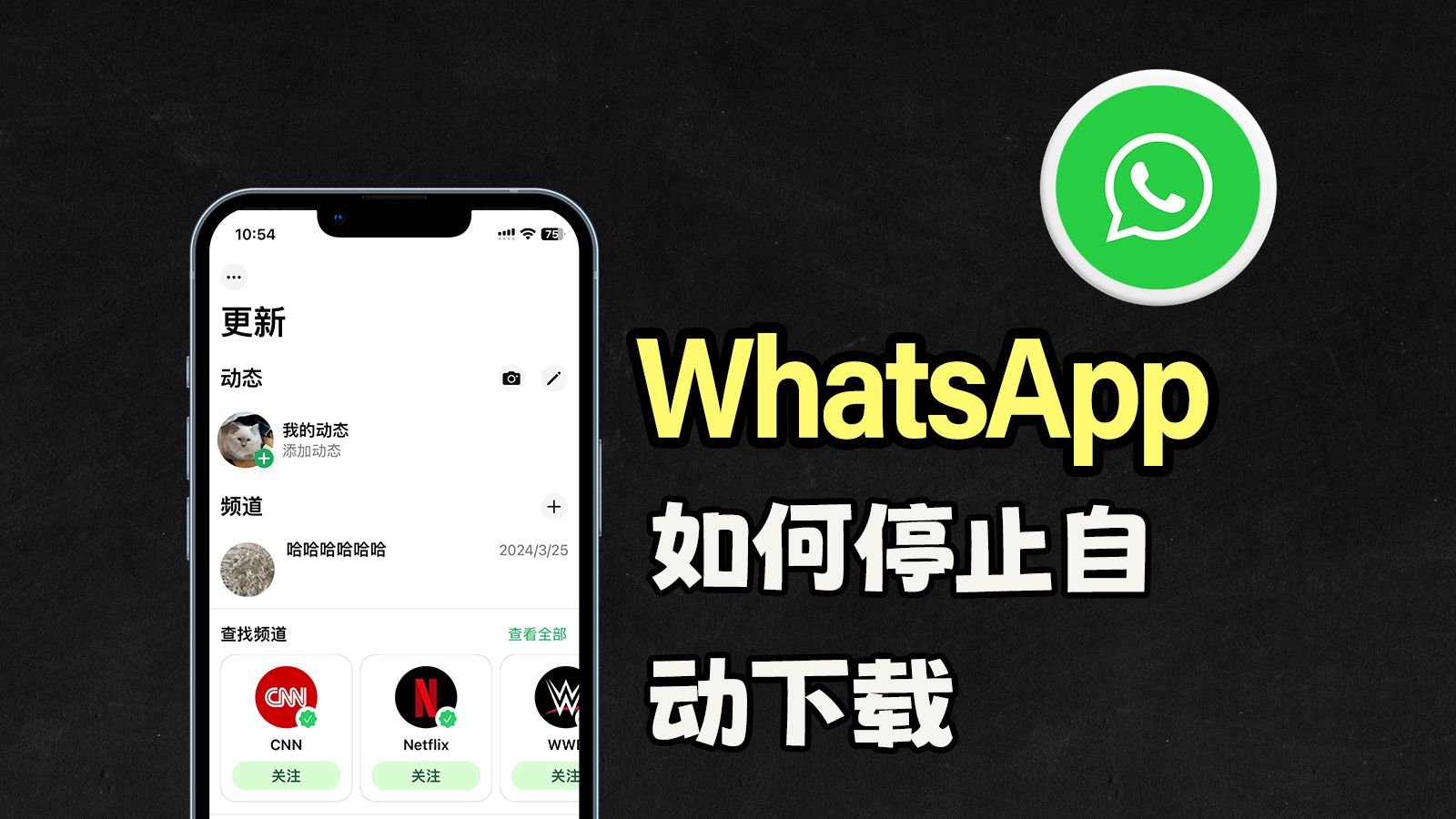 whatsapp安卓下载安装最新-whatsapp安卓下载安装最新版2024