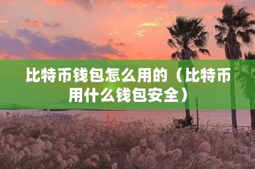 比特币冷钱包的钱被转走了-转入冷钱包的比特币有记录吗