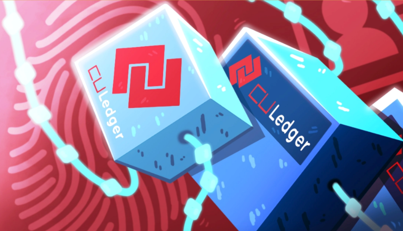 关于ledger中国经销商的信息