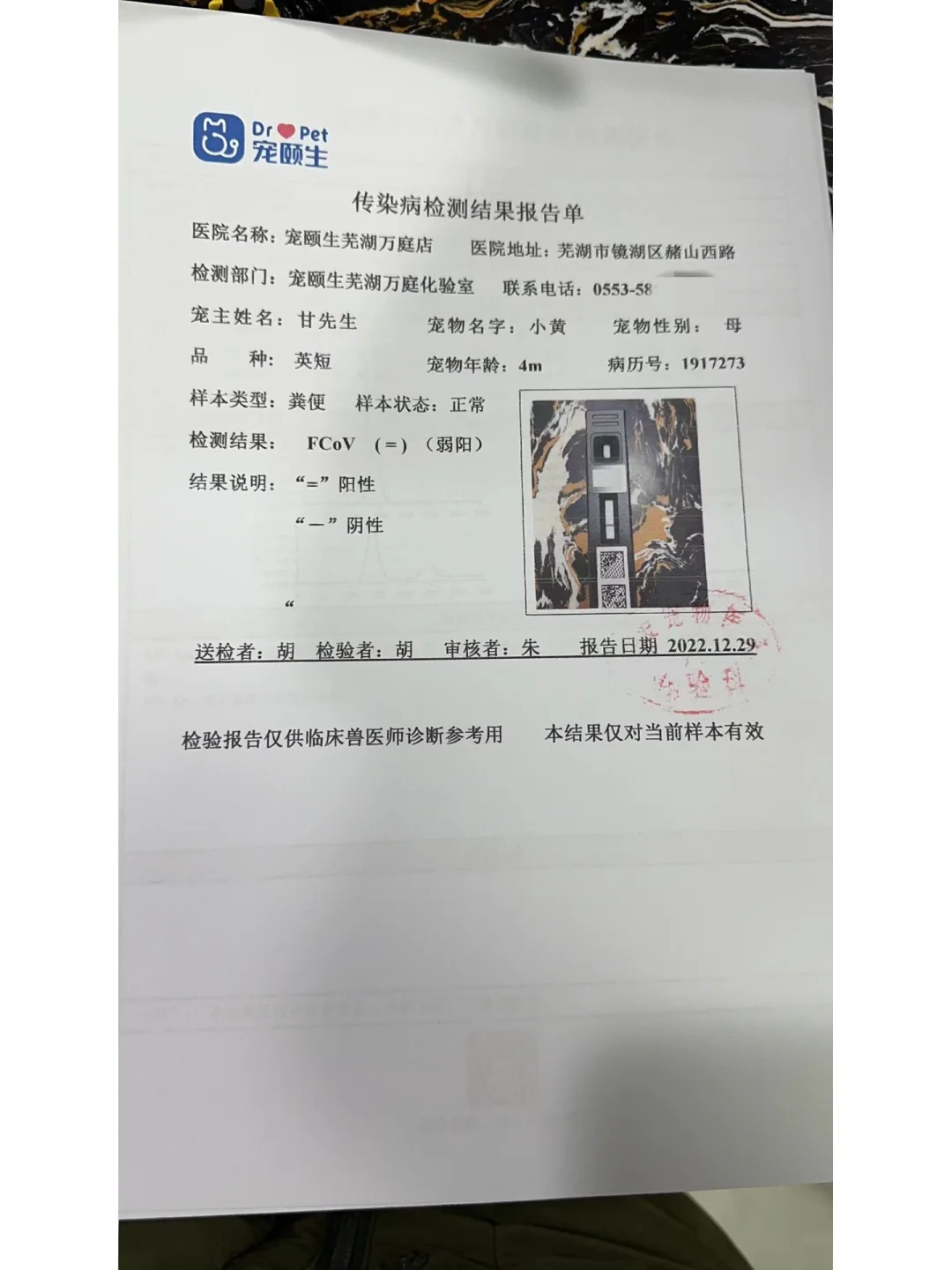 usdt被骗了报警有用吗-网上买卖usdt币会被判几年