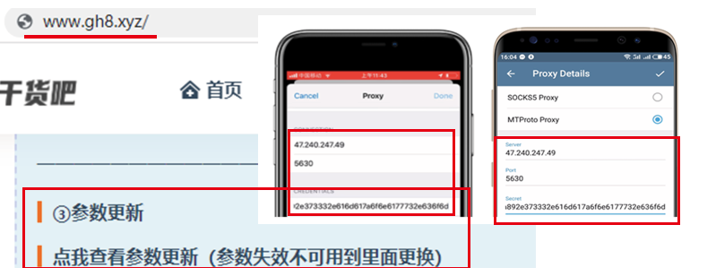 电报telegeram官网怎么使用-telegerammessenger官网下载