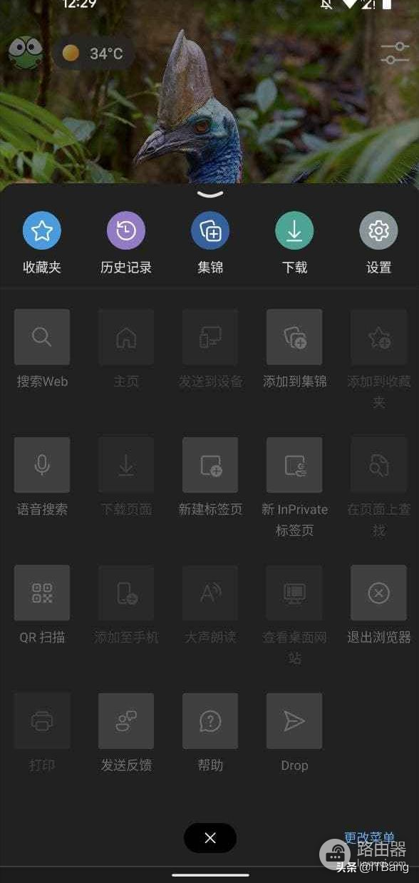 edge手机版扩展功能-edge手机版扩展功能 可以用吗