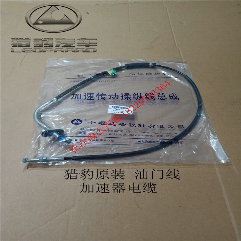 vp加速器猎豹-猎豹加速器beta