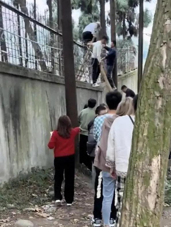 付费的梯子合法吗-免费梯子和付费梯子