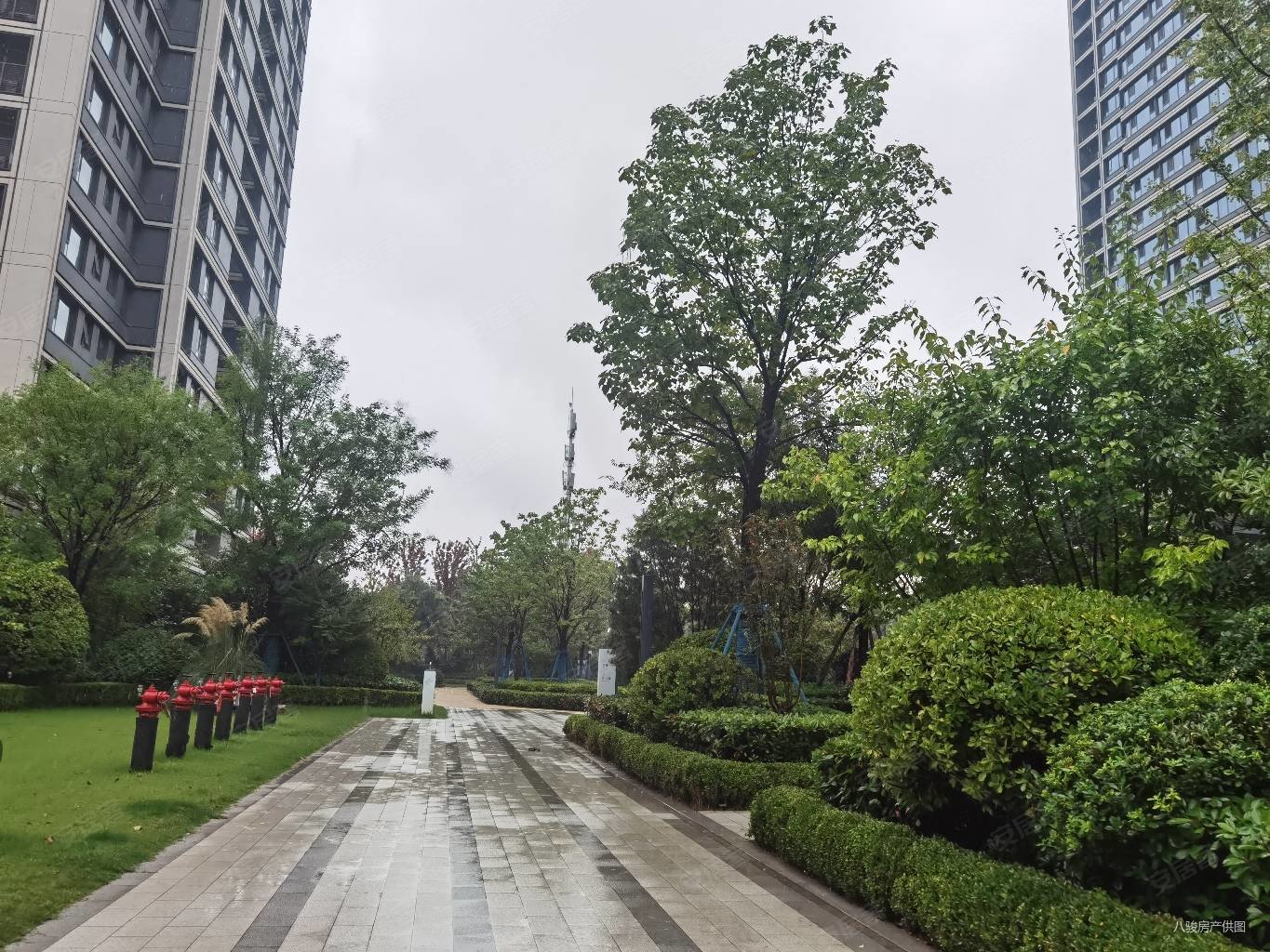 西派国际地址-西派国际售楼部电话