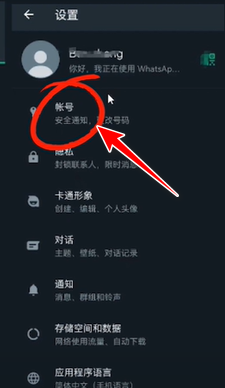 whatsapp国内中文名-whatsapp有中文版本吗