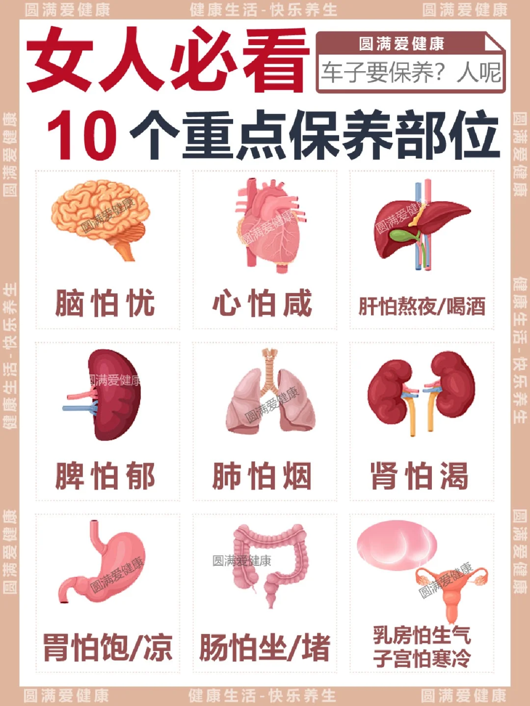 包含身体器官什么部位缩写是TG的词条