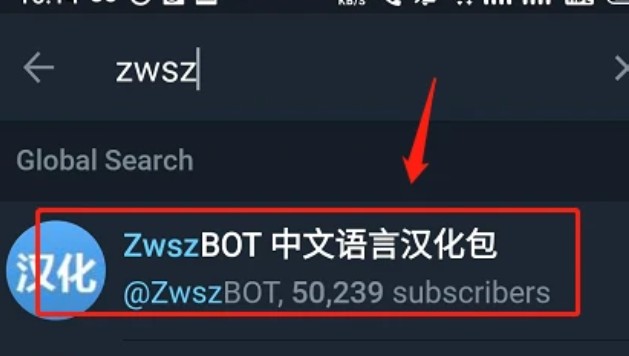 纸飞机中文补丁-纸飞机中文包ch_zh