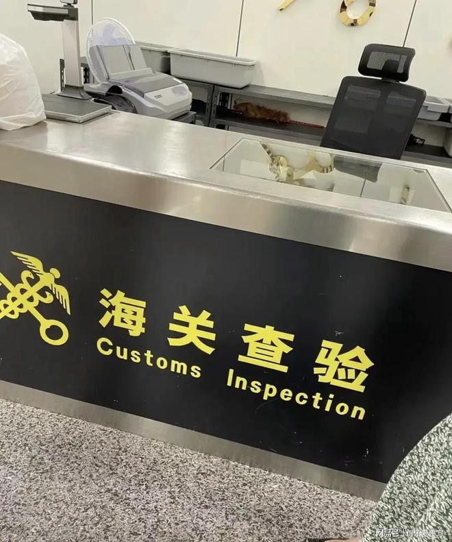 香港买的包被海关扣了-从香港买包过海关需要拆吗