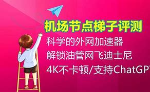 梯子vnp吧-翻外国墙加速器