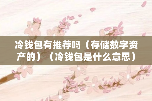 冷钱包是啥意思-冷钱包有什么好处