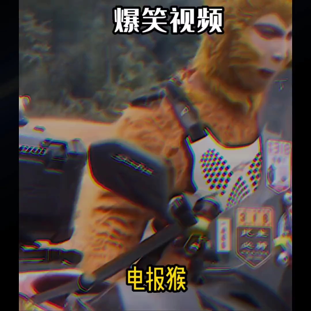 关于电报猴到底说的什么的信息